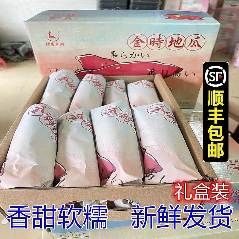金时番薯礼盒新鲜地瓜海南
