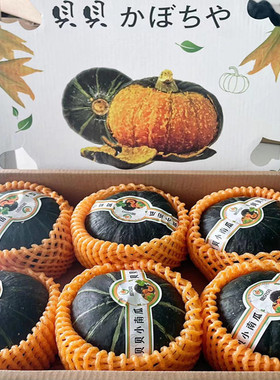 贝贝小南瓜板栗味5-6只礼盒香甜糯宝宝辅食板栗南瓜新鲜蔬菜 包邮