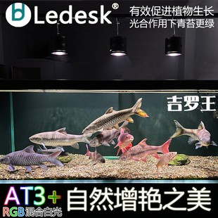 乐迪吉罗王筒灯蓝吉罗红吉罗增艳增色专用鱼缸爆藻出苔全光谱筒灯