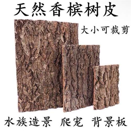 爬宠攀爬造景香槟真树皮雨林缸枯木爬虫宠物生态箱素材装饰背景板