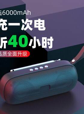 蓝牙音箱收音机一体便携式进口小型音响超重低音炮高音质超长待机