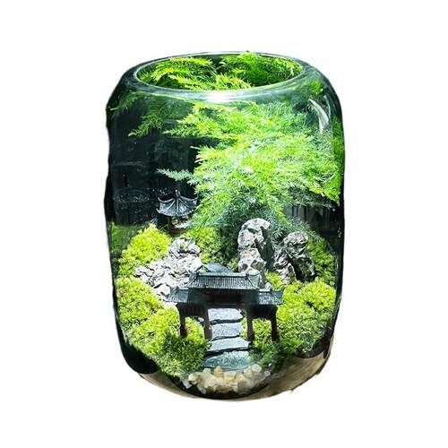 微景观玻璃生态造景生态瓶桌面绿植盆栽耐养免打理办公室自然造景