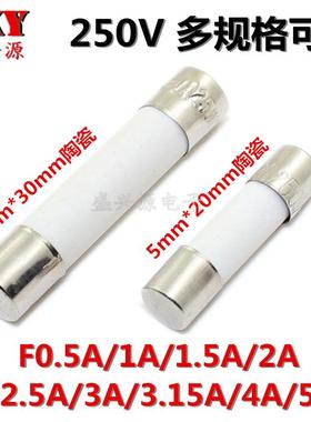5X20 6X30MM 陶瓷保险丝/管 250VF1A/2A/3A/3.15A/4A/5A （10个）