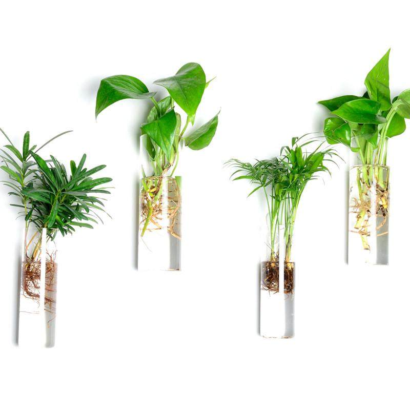 创意壁挂悬挂水培玻璃花瓶 家居装饰人工吹制插花玻璃工艺品,鲜花速递/花卉仿真/绿植园艺,绿植,淘宝优惠券,粉丝福利购,淘宝优惠卷