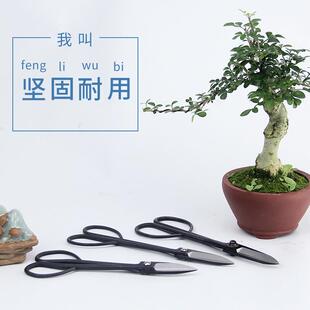 金田剪刀修枝剪盆景修剪造型制作盆栽朱记叶芽剪树枝剪刀园艺工