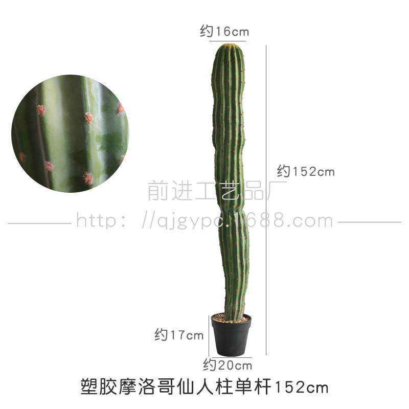 摩洛哥大仙人掌仿真仙人掌造景植物景观沙生热带植物盆栽仙人柱,鲜花速递/花卉仿真/绿植园艺,仿真绿植,淘宝优惠券,粉丝福利购,淘宝优惠卷