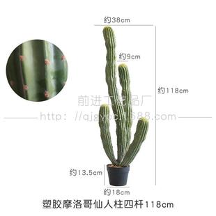 摩洛哥大仙人仿真仙人掌沙生植物景观造景热带植物盆栽仙人掌柱