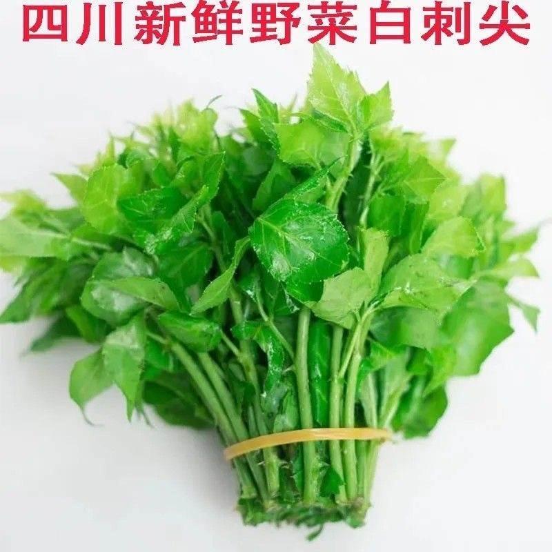 四川新鲜野菜白刺尖苦刺菜簕菜苦刺心白簕鲜嫩勒菜三加叶1/2/5斤