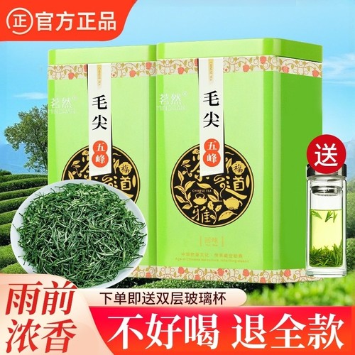 茗然五峰原产毛尖茶春茶