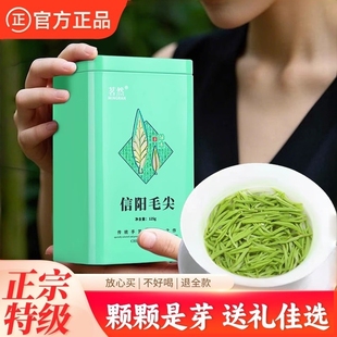 茗然正宗信阳毛尖2025新茶茶叶特级明前春茶绿茶嫩芽茶礼250g
