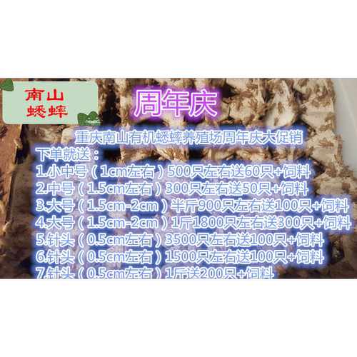 蛐蛐 蟋蟀 活体饲料 养殖场直发现货大中小针头爬虫鸟龟守宫食物