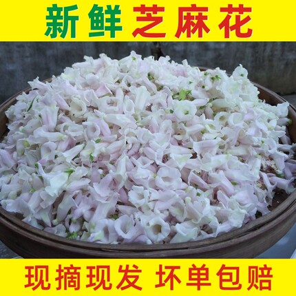 2026年现摘新鲜芝麻花瘊子疣子鸡眼用河南干芝麻花泡酒现货包邮