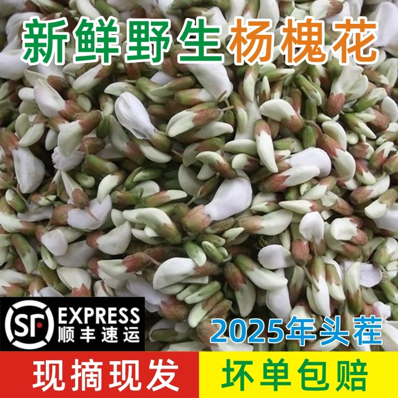 2025年新鲜槐花当季现摘花苞花骨朵洋槐花真空冷冻杨槐花野菜包邮