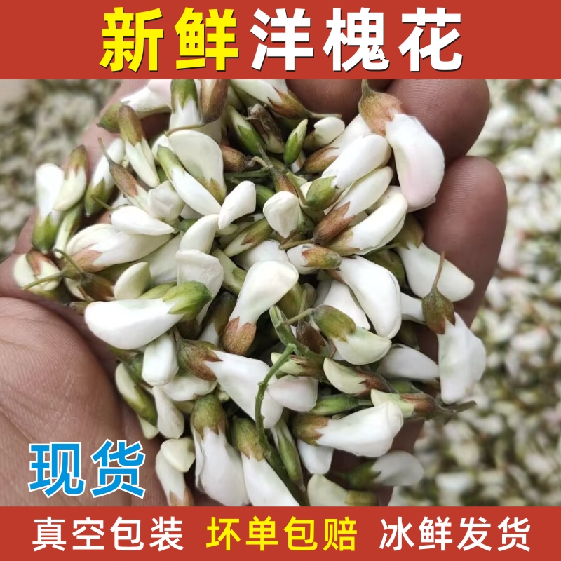 2025年新鲜槐花天然野生蔬菜洋槐花骨朵真空冷冻杨槐花野菜包邮