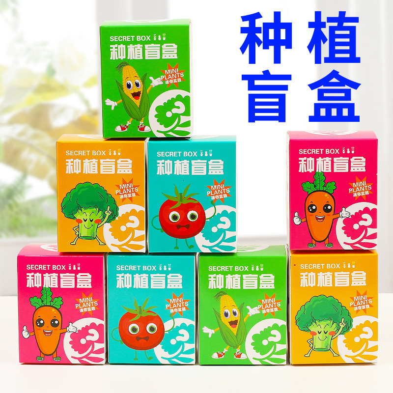 开业店庆种植盲盒儿童小学生礼物