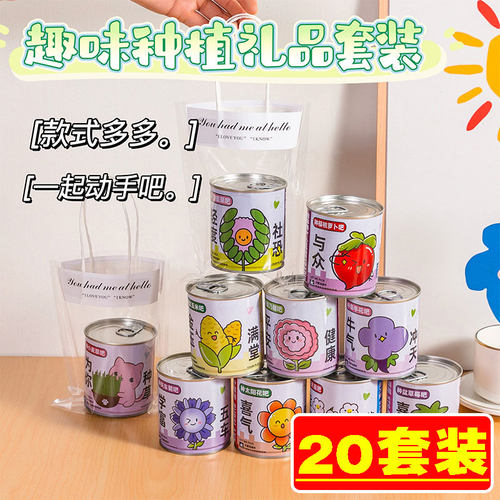 儿童手工种植盆栽盲盒六一节礼袋