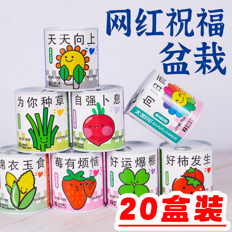 易拉罐盆栽桌面小摆件开学季奖品