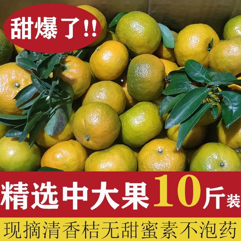 广西桂林正宗清香蜜橘纯甜不酸巴西柑小茶橘青龙橘丑柑子非砂糖橘