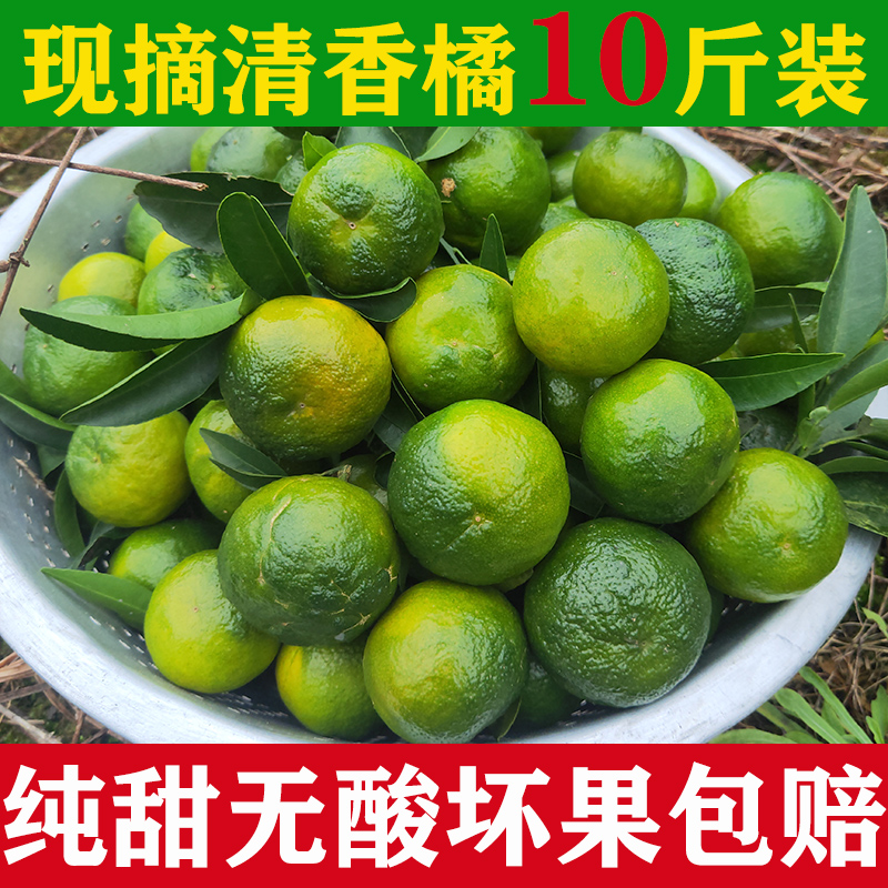 广西清香蜜桔纯甜清香茶橘巴西柑新鲜水果青皮橘青香青龙橘10斤5