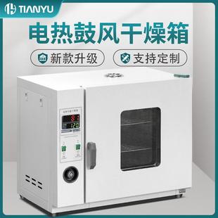 电热恒温鼓风干燥箱高温加热小型工业用烤箱医用烘干机实验室烘箱