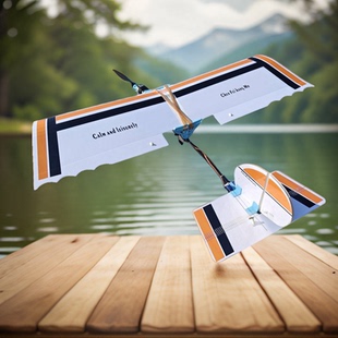 慢速航模飞机休闲飞行不挑场地 教学教练机尘飞航模DIY简单3D打印