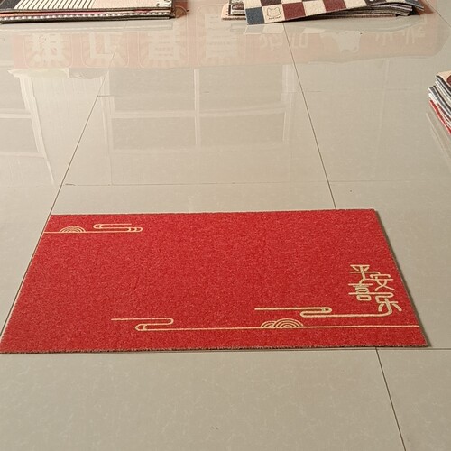 新丝圈地垫60*90厘米