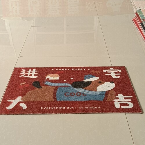 新丝圈地垫60*90厘米