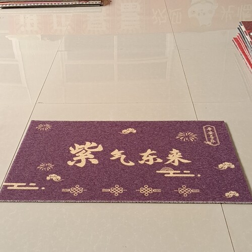 新丝圈地垫60*90厘米