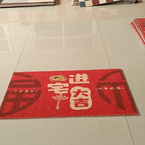 新丝圈地垫60*90厘米