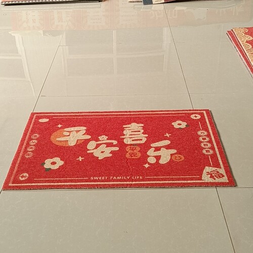 新丝圈地垫60*9厘米