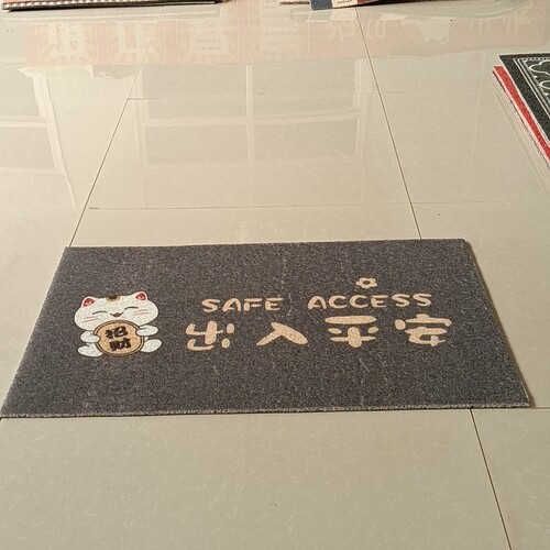 新丝圈地垫60*90厘米