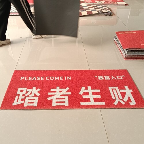 丝圈地垫60*120厘米