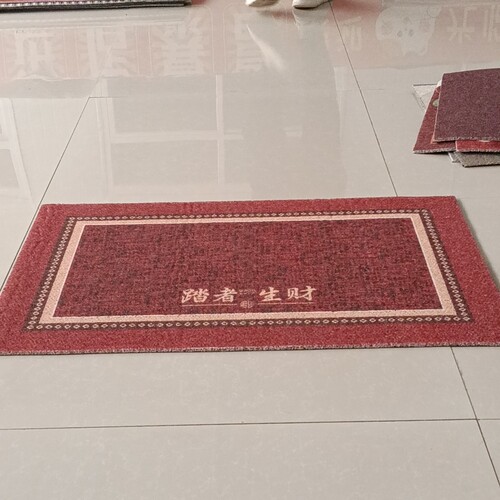 新丝圈地垫60*90厘米