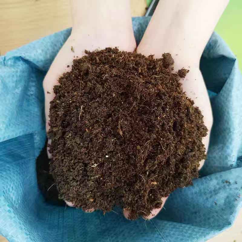 进口泥炭土草炭土家用丹麦种植土