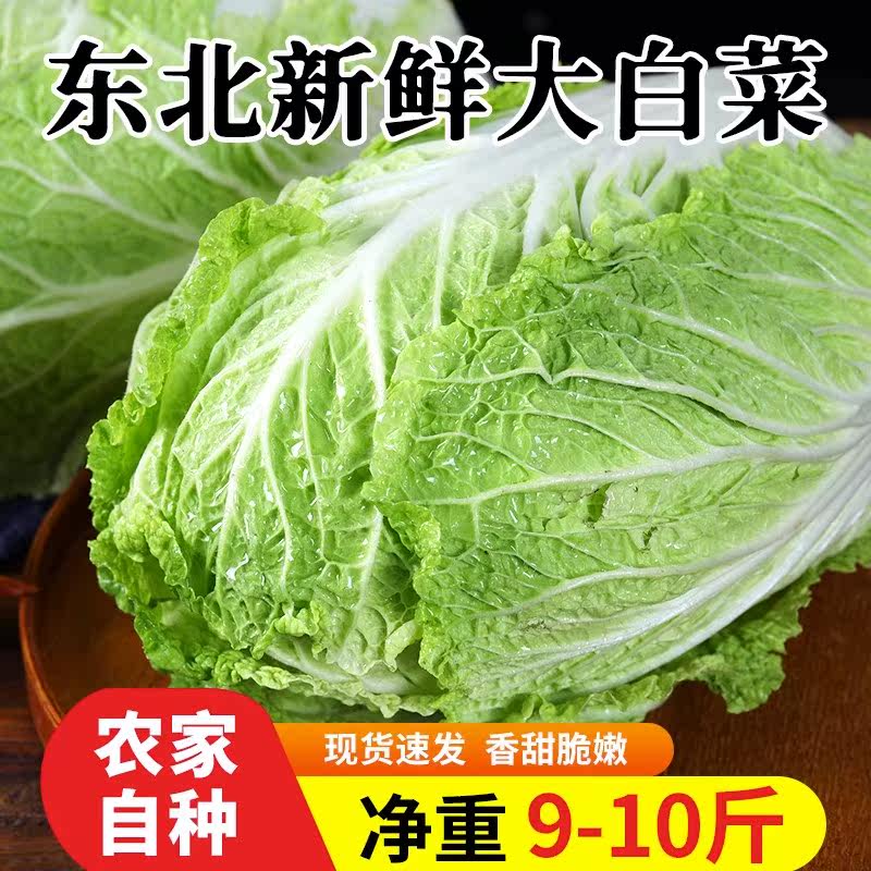 东北新鲜大白菜霜打包心菜