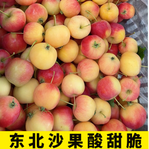 东北沙果海棠果果园现摘新鲜