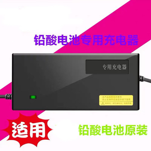 爱玛电动车充电器铅酸48v12ah国