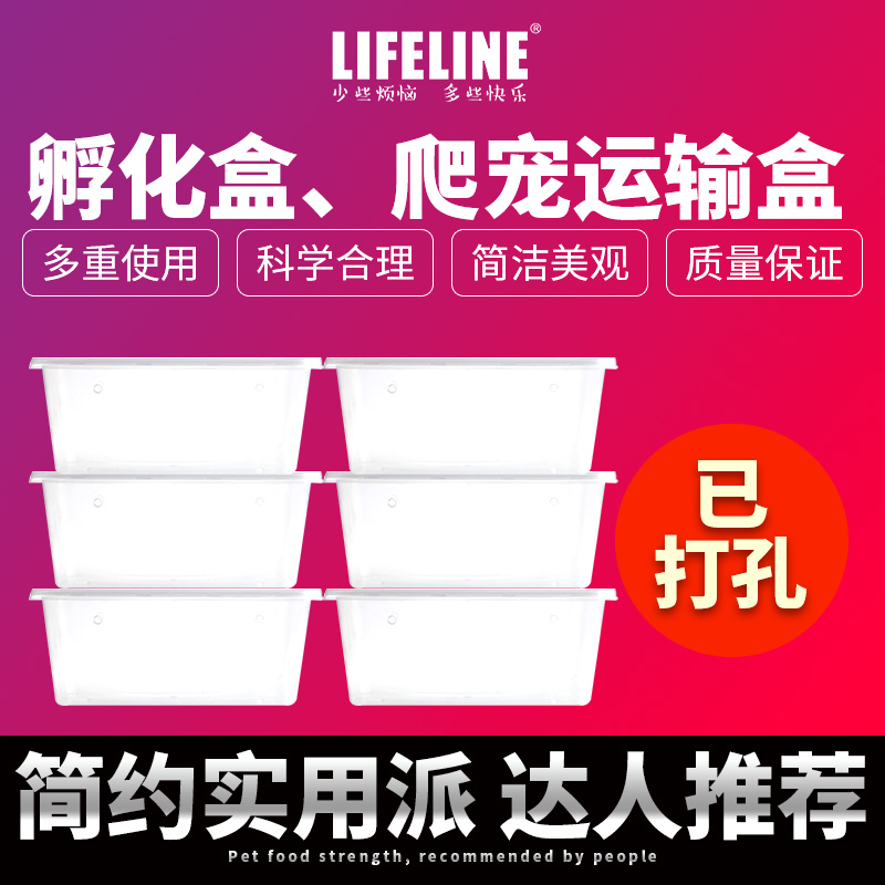 LIFELINE命脉 龟、蛇等爬宠蛋繁殖 孵化盒、爬宠运输盒 宠物/宠物食品及用品 孵化器 原图主图