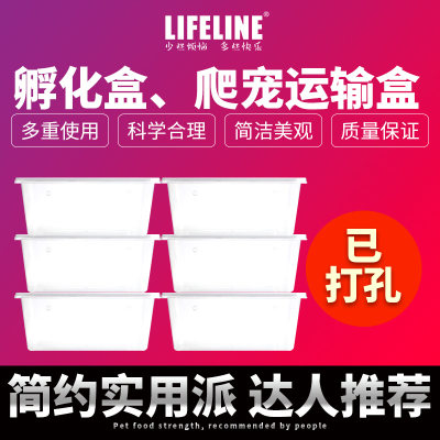 lifeline命脉龟蛇爬宠等蛋繁殖