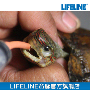 LIFELINE 命脉旗舰店命脉喂食皮管喂肠胃舒喂食器 灌食器