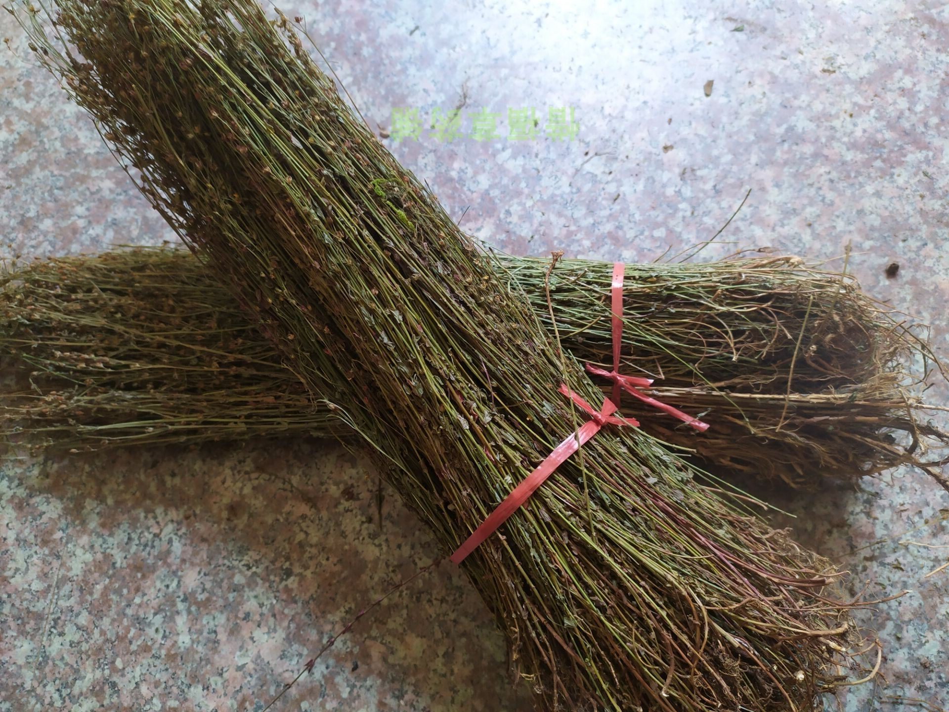福建草药野生田基黄 地耳草 七层塔 小元宝草 黄花仔 耳挖草500g