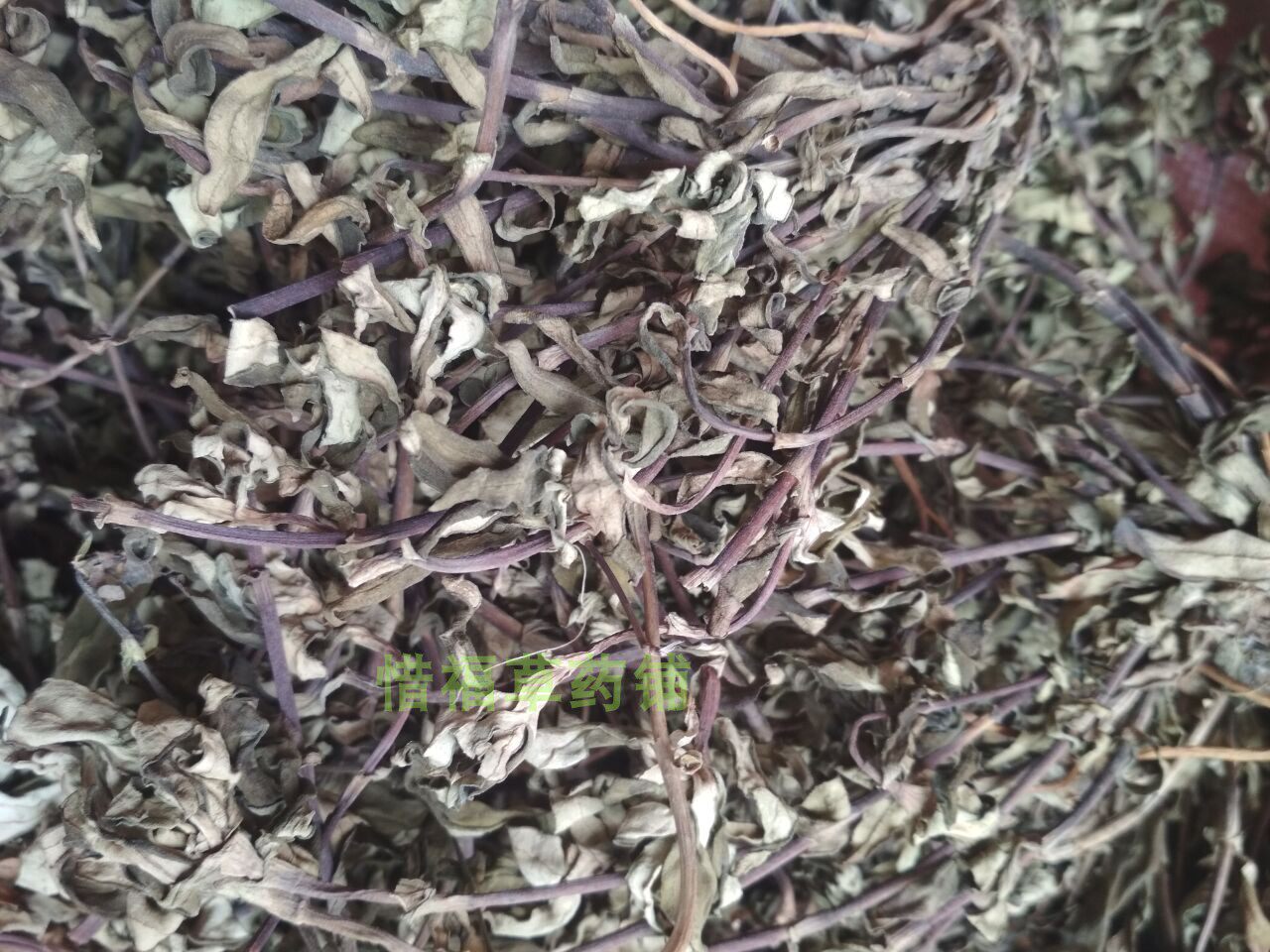 包邮福建龙胆莲青花胆500g中草药