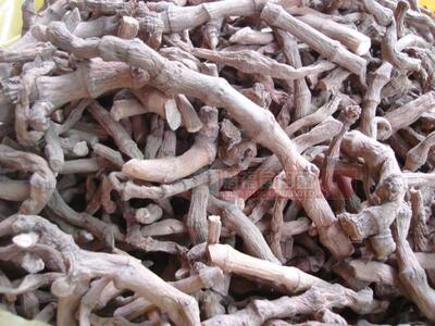 1斤包邮野生三白草根 三白根 塘边藕 百节藕 天性草根 九节藕500g