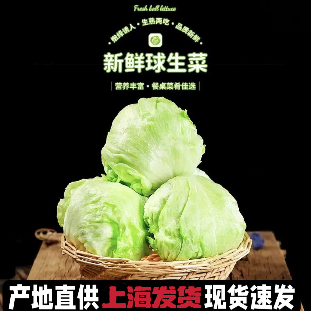 20斤装 包邮 汉堡用球生菜西餐新鲜蔬菜沙拉食材结球形圆型西生菜