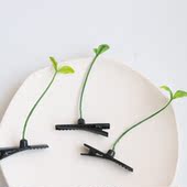 创意清新绿色小豆芽发夹儿童搞怪小草鸭嘴夹立体发卡不伤发头饰女