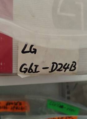 议价LSLG  G6I-D24B