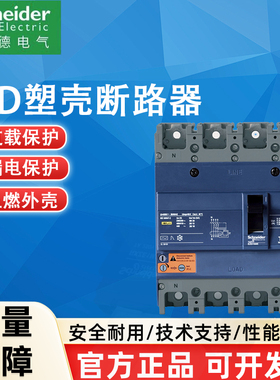 施耐德空气式塑壳漏电脱扣断路器EZD160E4125ELN4P100A160A200A