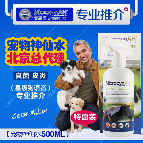 消毒伤口宠物素材模板 消毒伤口宠物图片下载 小麦优选