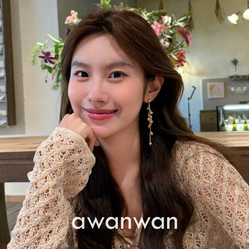 阿婉Wan 月下风铃~法式复古温柔焦糖珍珠水晶流苏耳钉百搭时髦