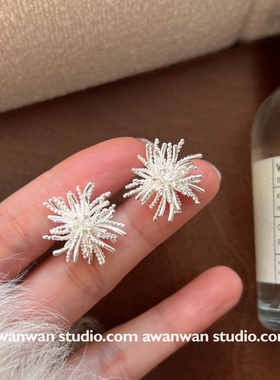 阿婉Wan 雪绒花~清冷感爆闪烟花造型耳钉高级感耳饰冷淡风小众